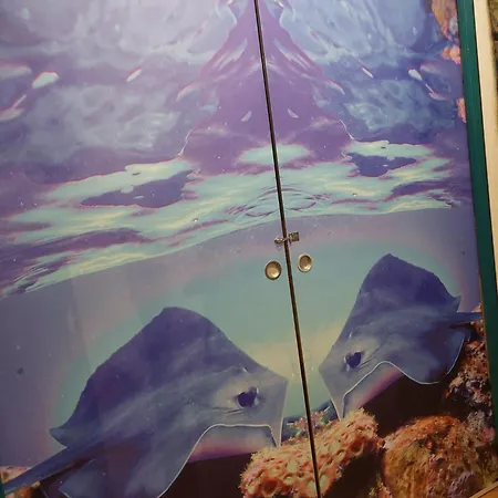 Dz Am Euroairport Quarto em Acomodações Particulares *